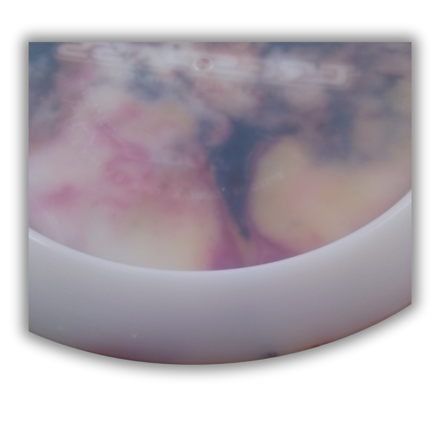 Dynamic Discs Trespass