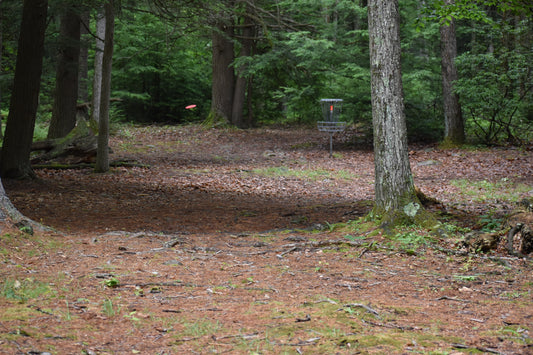 How to Choose the Right Disc Golf Discs for Your Playing Style