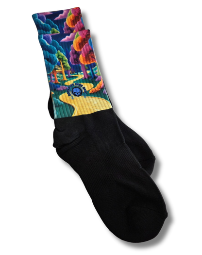 Disc Golf Socks Colorful Path (M)