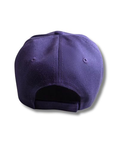 DarkSide Trucker Hat